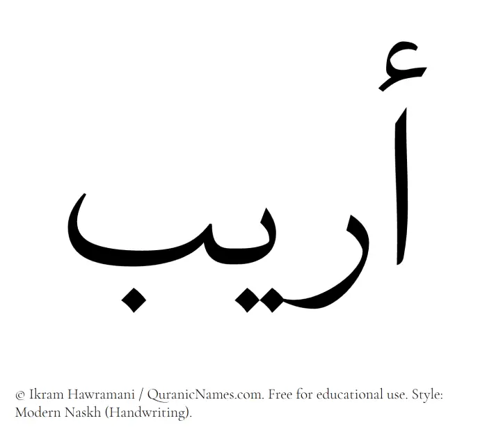 The Muslim name Oraib written in naskh script