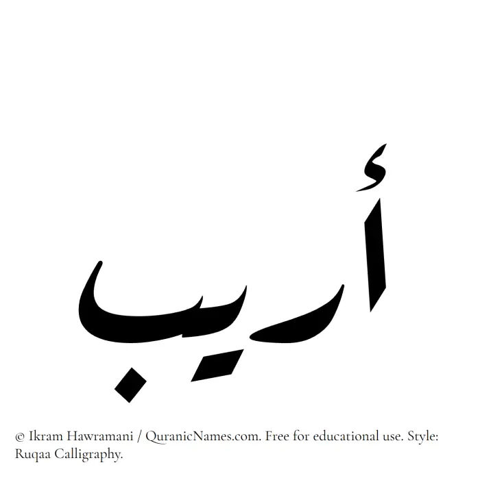 The Muslim name Oraib written in Ruqaa calligraphic script