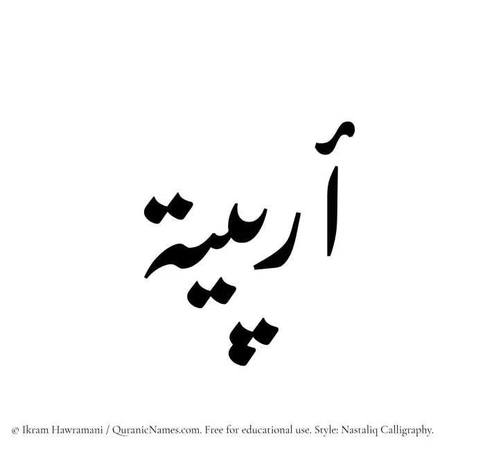 The Muslim name word Oraibia written in Nastaliq calligraphic script