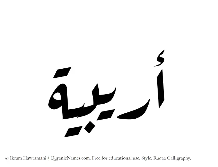 The Muslim name Oraibia written in Ruqaa calligraphic script