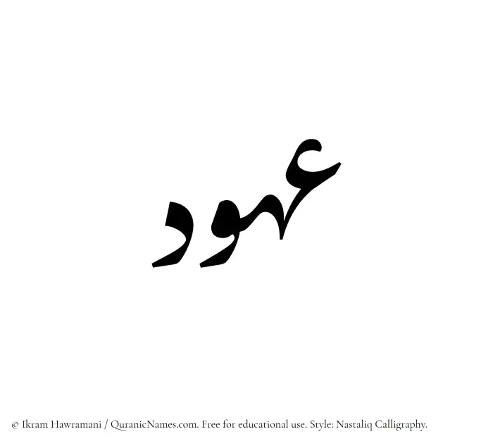 The Muslim name word Ouhood written in Nastaliq calligraphic script