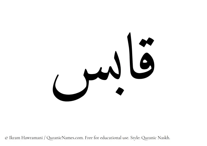 The Muslim name Qabis written in Quranic naskh script