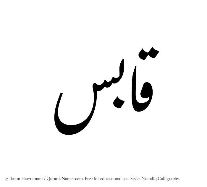 The Muslim name word Qabis written in Nastaliq calligraphic script