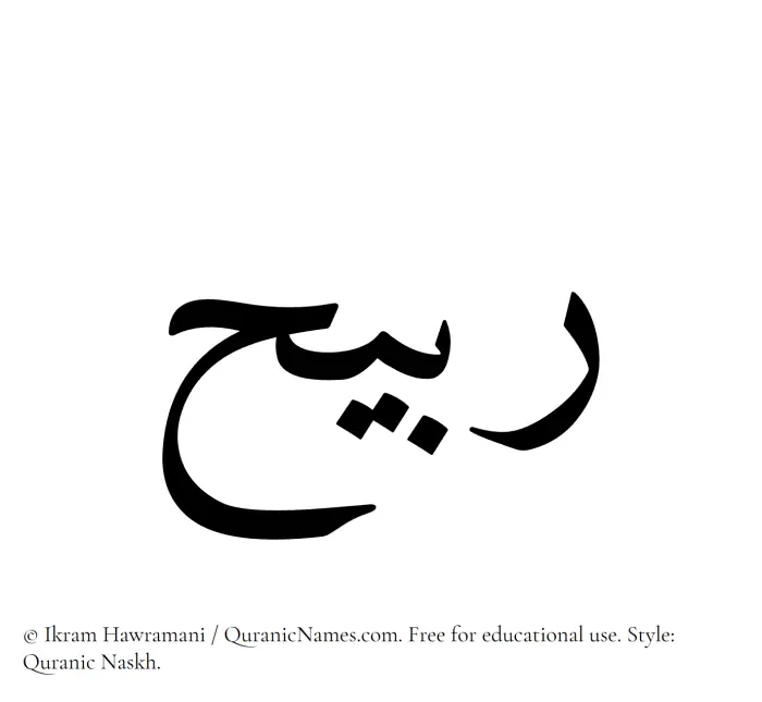 The Muslim name Rabeeh written in Quranic naskh script