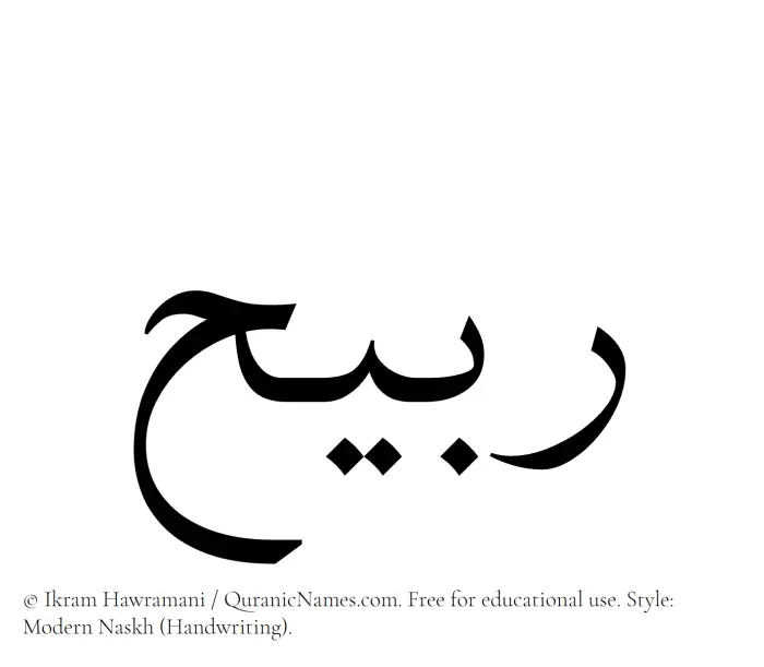 The Muslim name Rabeeh written in naskh script