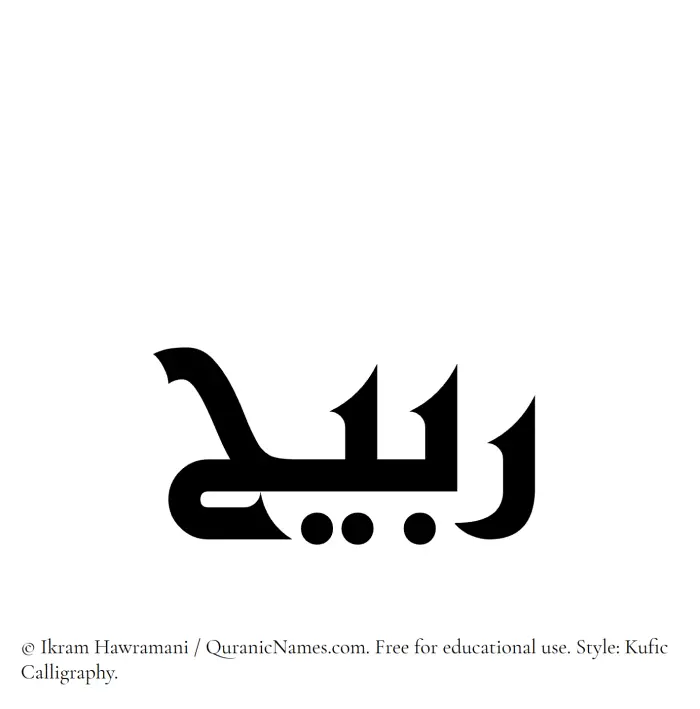 The Muslim name Rabeeh written in Kufi/Kufic calligraphic script