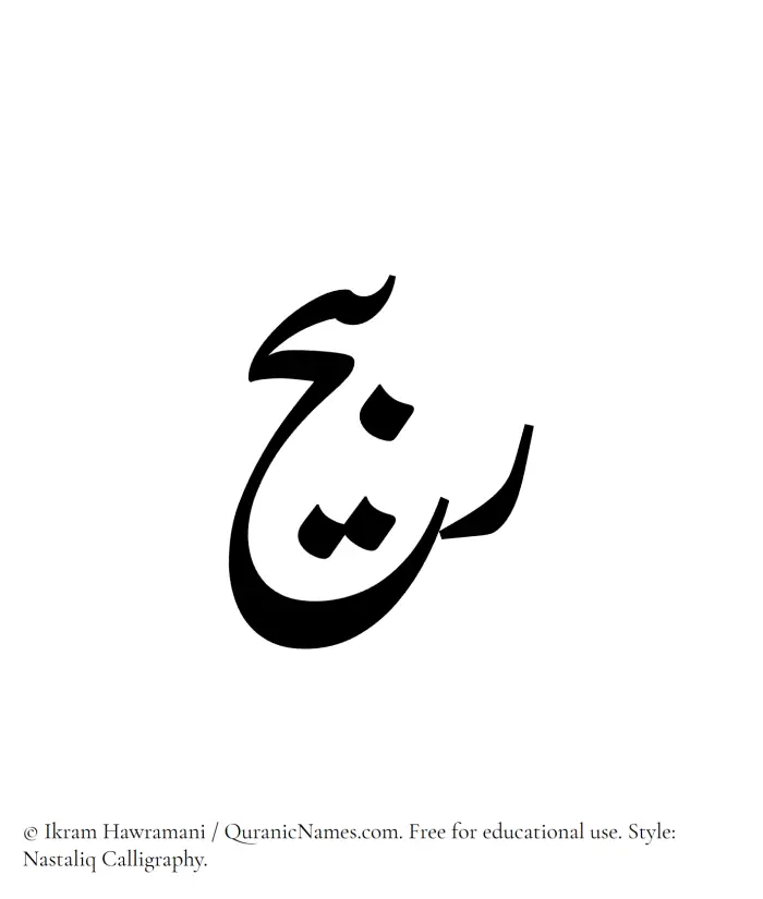 The Muslim name word Rabeeh written in Nastaliq calligraphic script