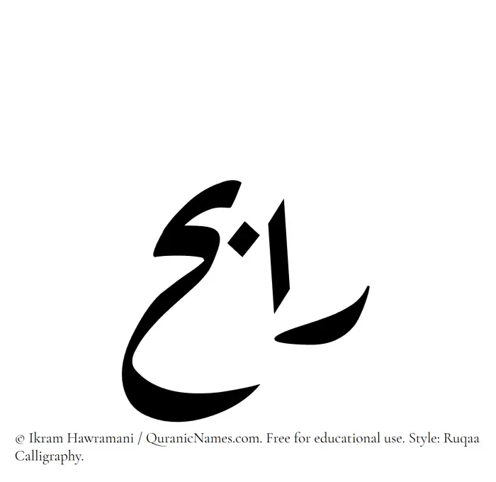 The Muslim name Rabih written in Ruqaa calligraphic script