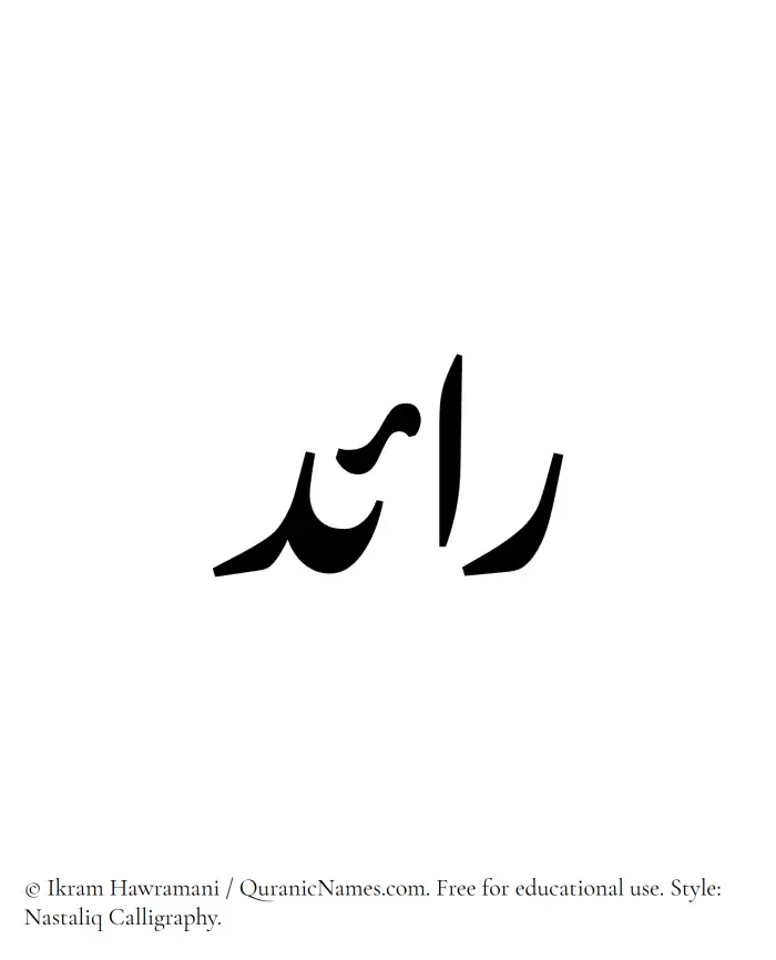 The Muslim name word Raed written in Nastaliq calligraphic script
