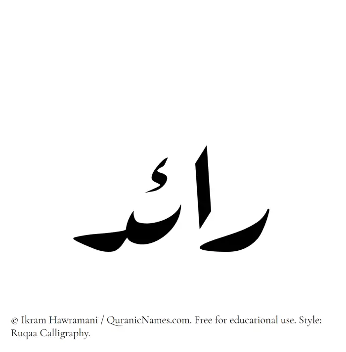 The Muslim name Raed written in Ruqaa calligraphic script