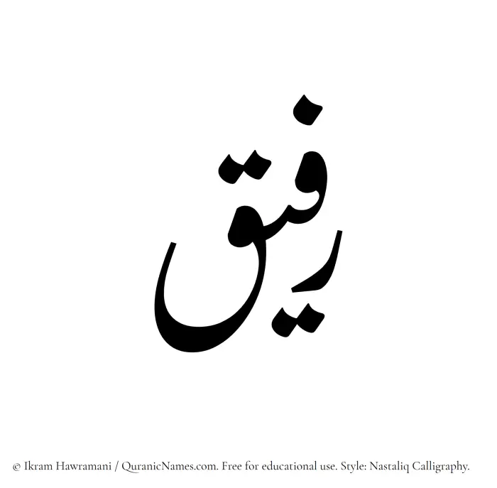 The Muslim name word Rafeeq written in Nastaliq calligraphic script