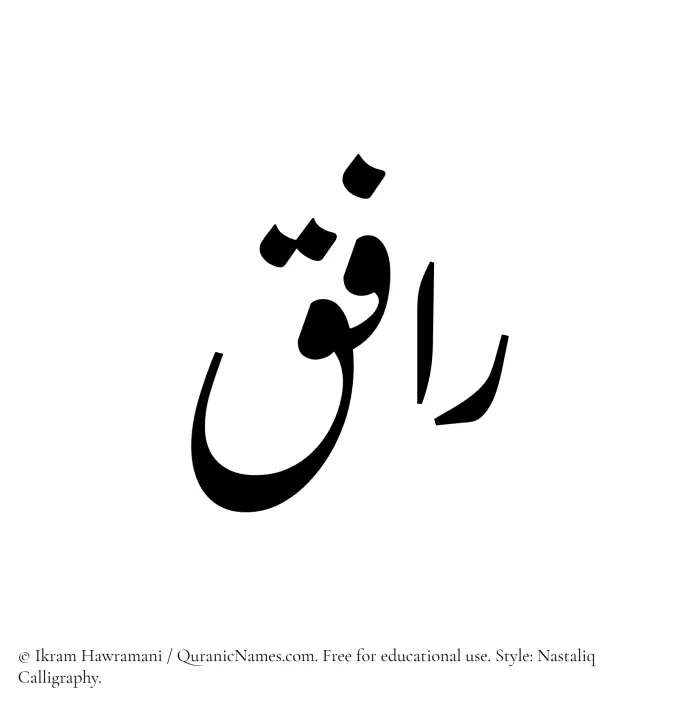 The Muslim name word Rafeq written in Nastaliq calligraphic script