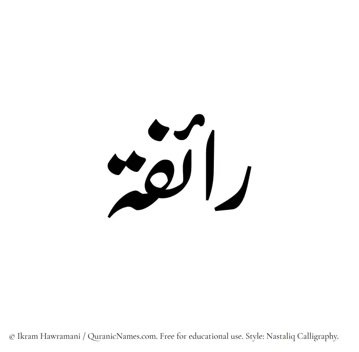 The Muslim name word Raifa written in Nastaliq calligraphic script