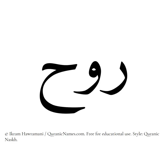 The Muslim name Rawh written in Quranic naskh script