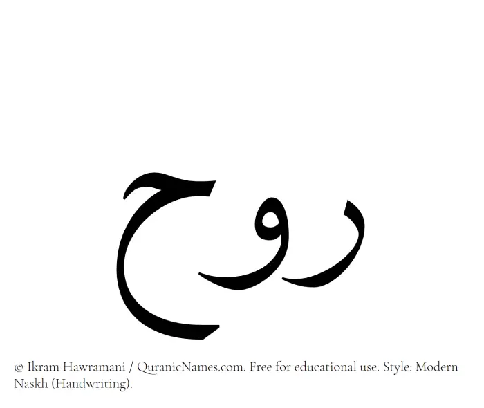 The Muslim name Rawh written in naskh script
