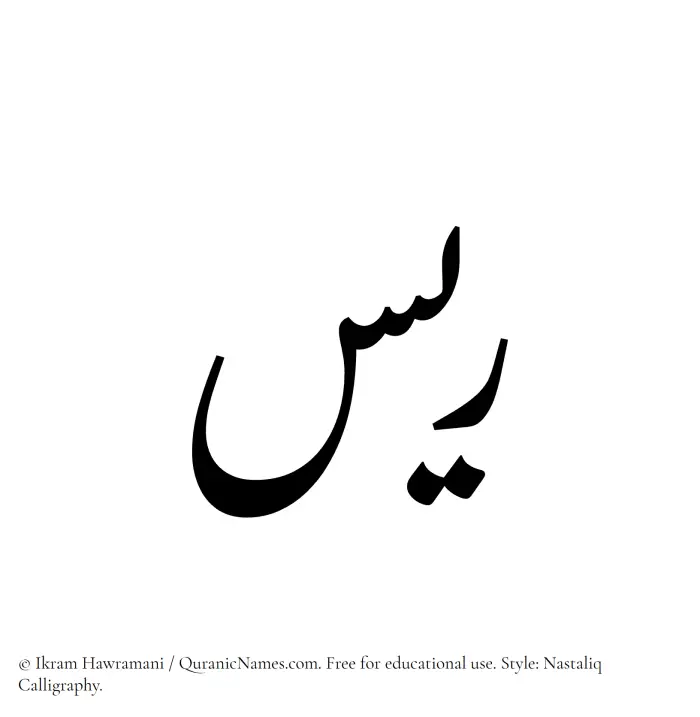 The Muslim name word Rayyis written in Nastaliq calligraphic script