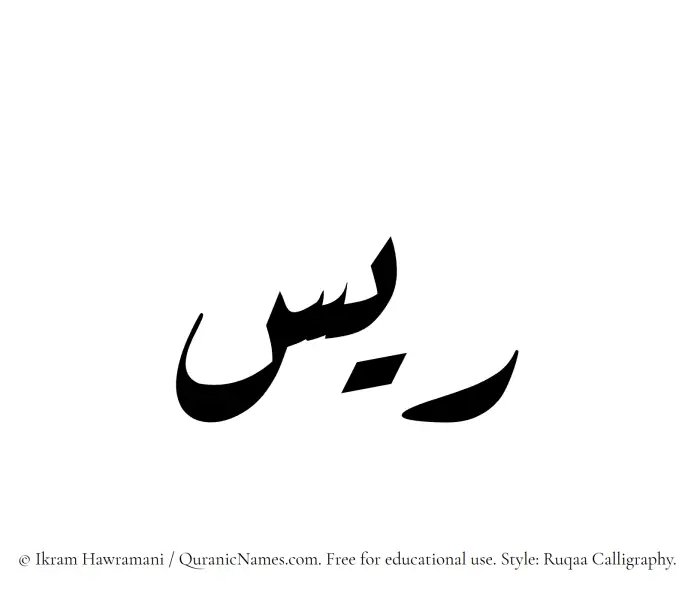 The Muslim name Rayyis written in Ruqaa calligraphic script