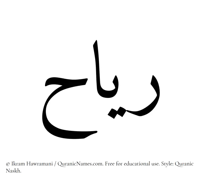The Muslim name Reyah written in Quranic naskh script