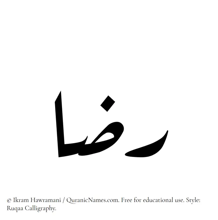 The Muslim name Rida written in Ruqaa calligraphic script