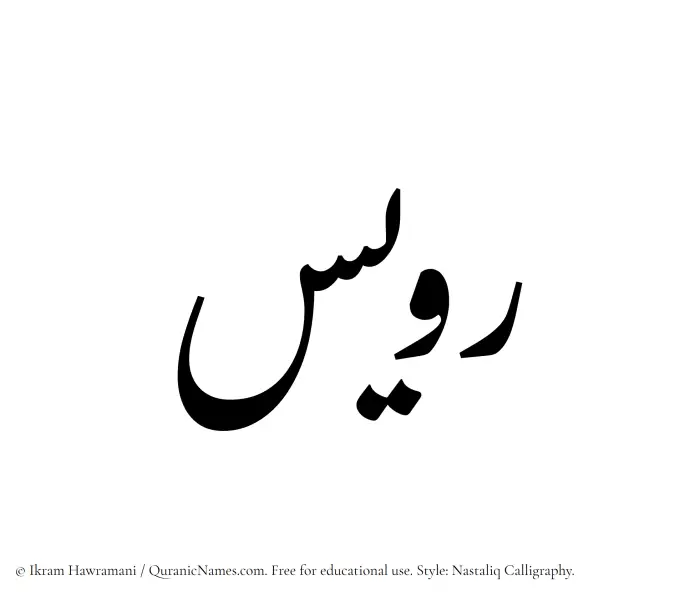 The Muslim name word Ruwais written in Nastaliq calligraphic script