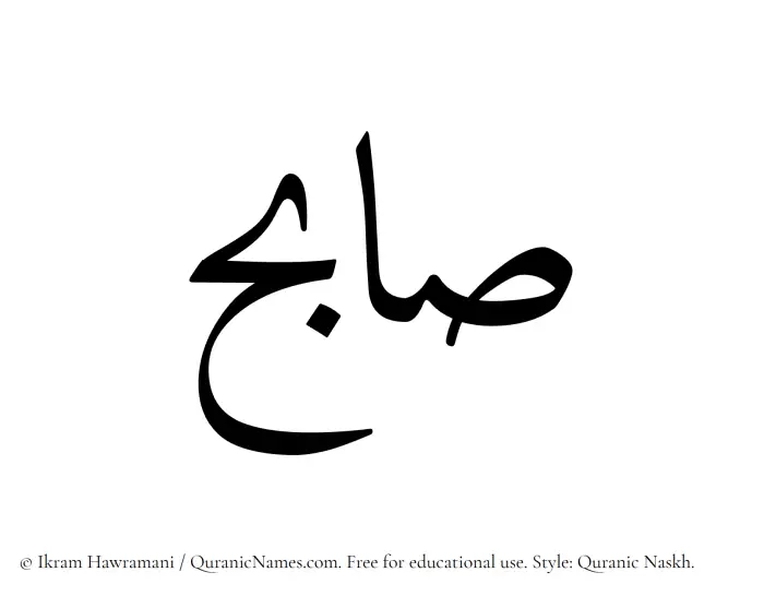 The Muslim name Saabih written in Quranic naskh script