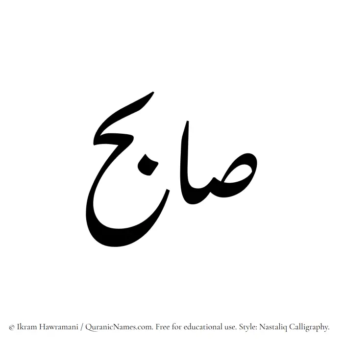The Muslim name word Saabih written in Nastaliq calligraphic script