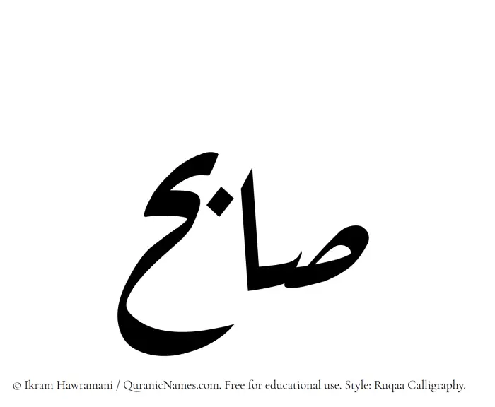 The Muslim name Saabih written in Ruqaa calligraphic script