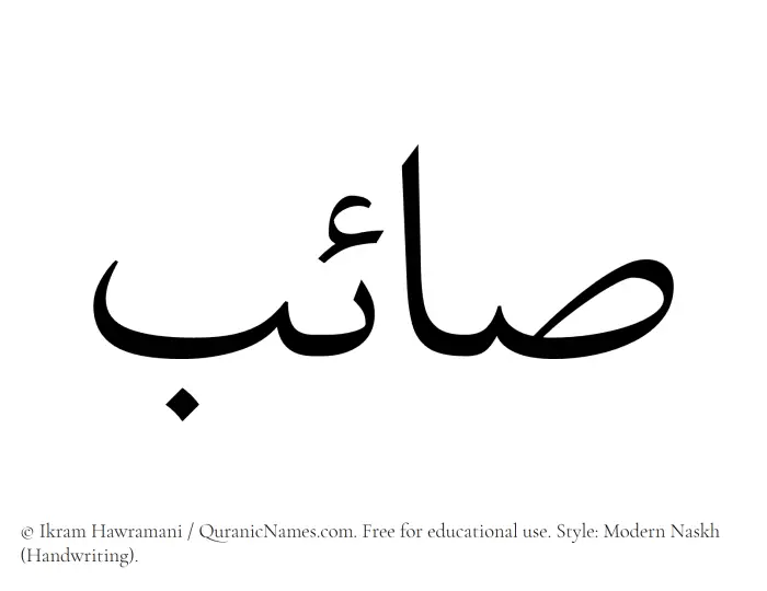 The Muslim name Saaeb written in naskh script