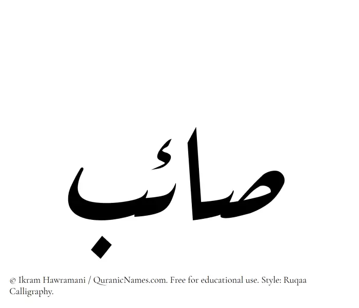 The Muslim name Saaeb written in Ruqaa calligraphic script