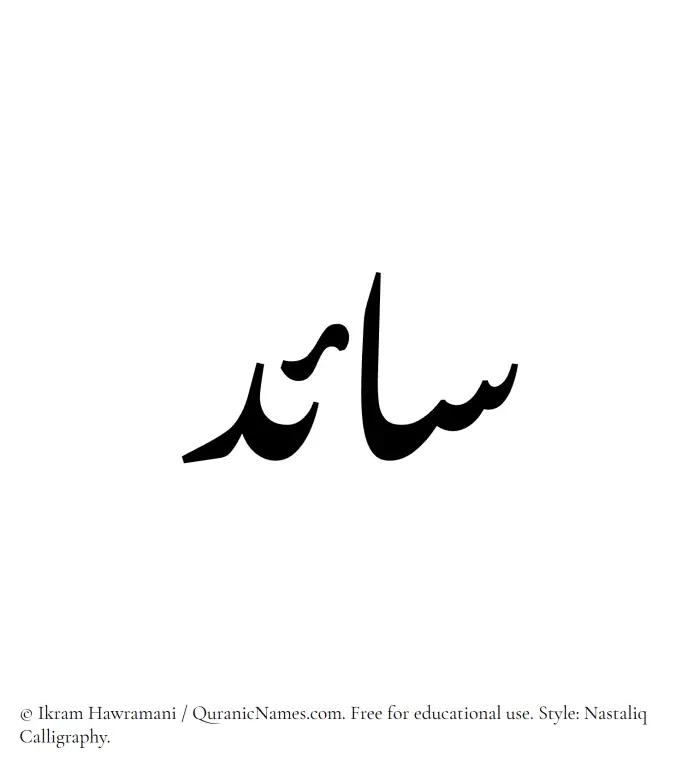 The Muslim name word Saaed written in Nastaliq calligraphic script