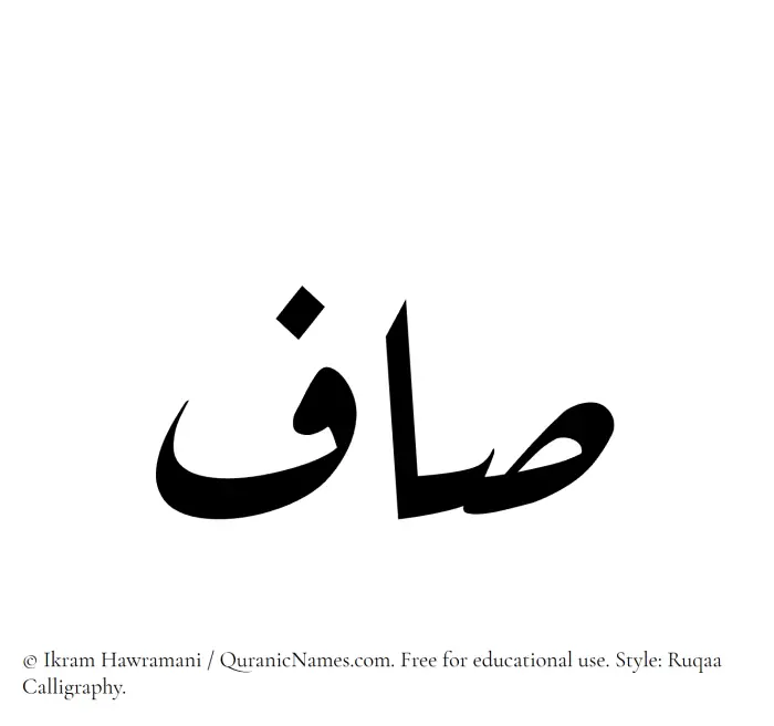 The Muslim name Saaf written in Ruqaa calligraphic script