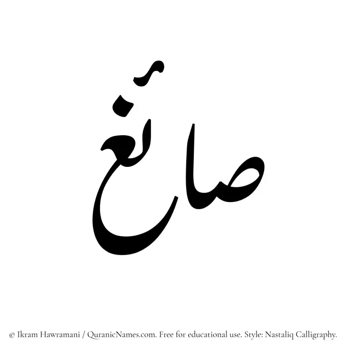 The Muslim name word Saaigh written in Nastaliq calligraphic script
