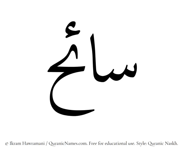 The Muslim name Saaih written in Quranic naskh script