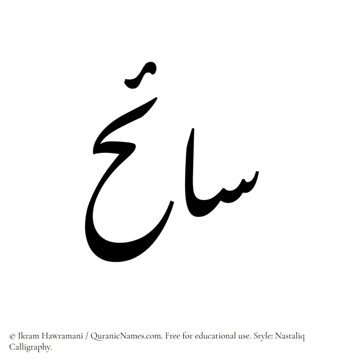 The Muslim name word Saaih written in Nastaliq calligraphic script