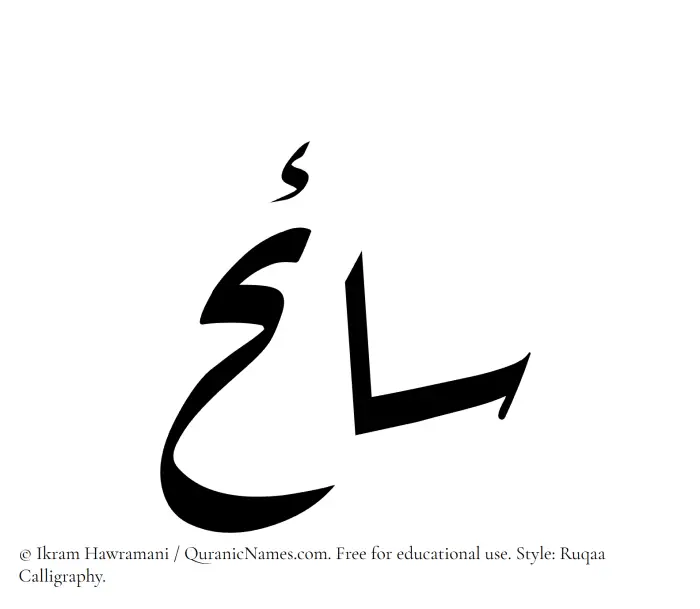 The Muslim name Saaih written in Ruqaa calligraphic script