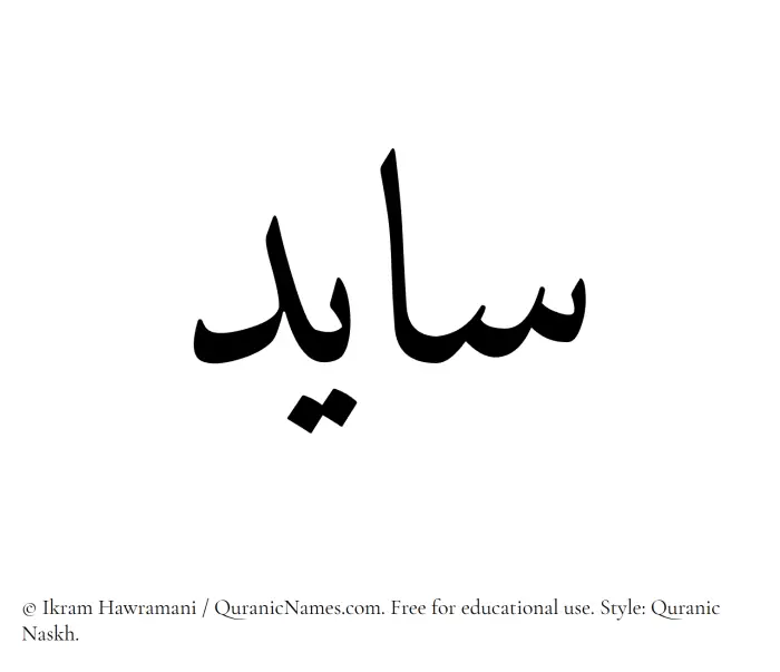 The Muslim name Saayed written in Quranic naskh script