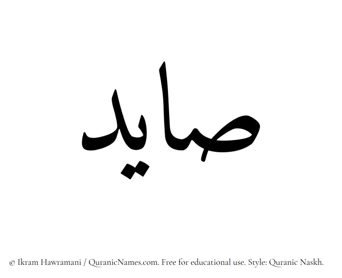 The Muslim name Saayed written in Quranic naskh script