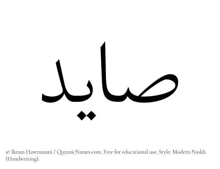 The Muslim name Saayed written in naskh script