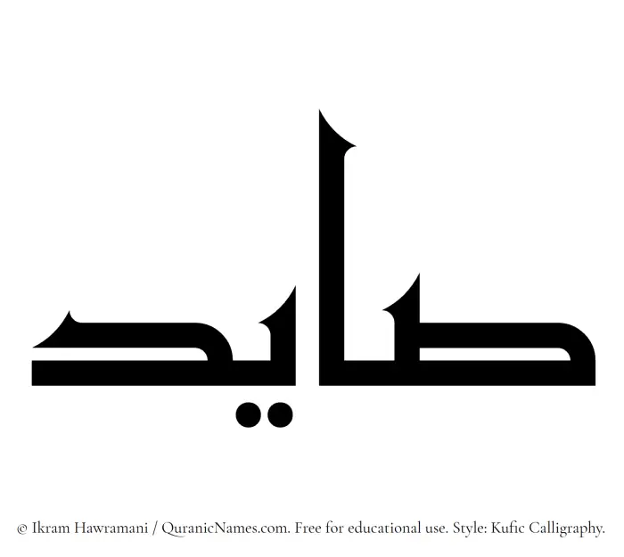 The Muslim name Saayed written in Kufi/Kufic calligraphic script