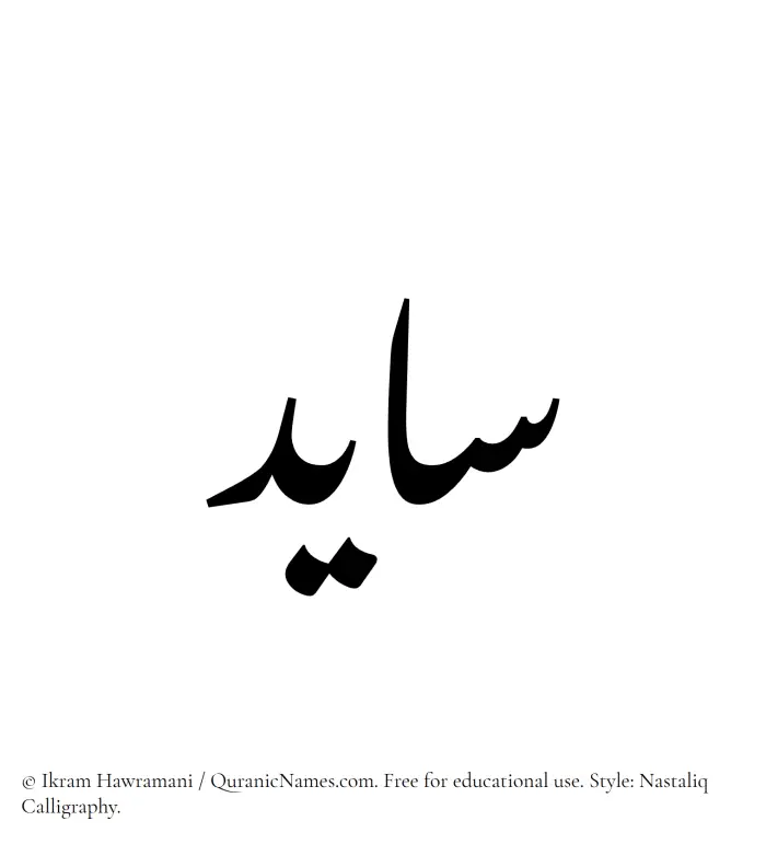 The Muslim name word Saayed written in Nastaliq calligraphic script
