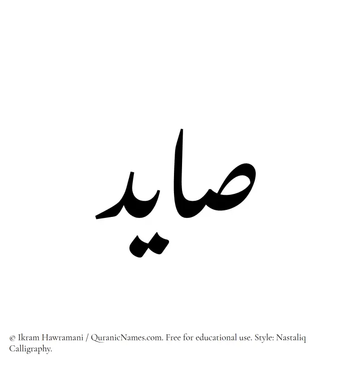 The Muslim name word Saayed written in Nastaliq calligraphic script