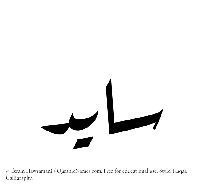 The Muslim name Saayed written in Ruqaa calligraphic script