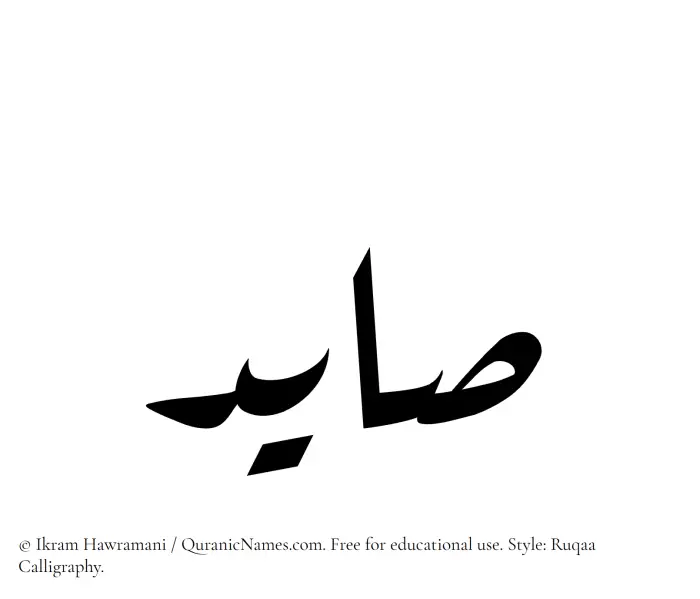The Muslim name Saayed written in Ruqaa calligraphic script