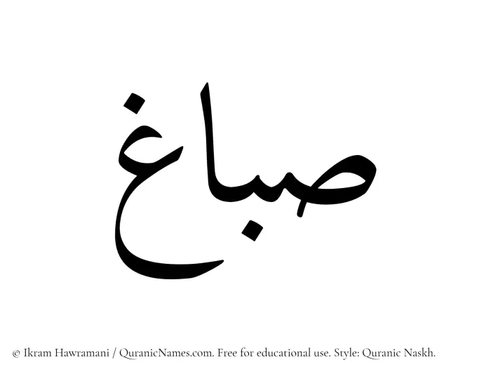 The Muslim name Sabbagh written in Quranic naskh script