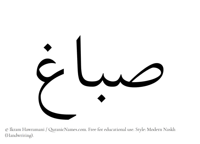 The Muslim name Sabbagh written in naskh script