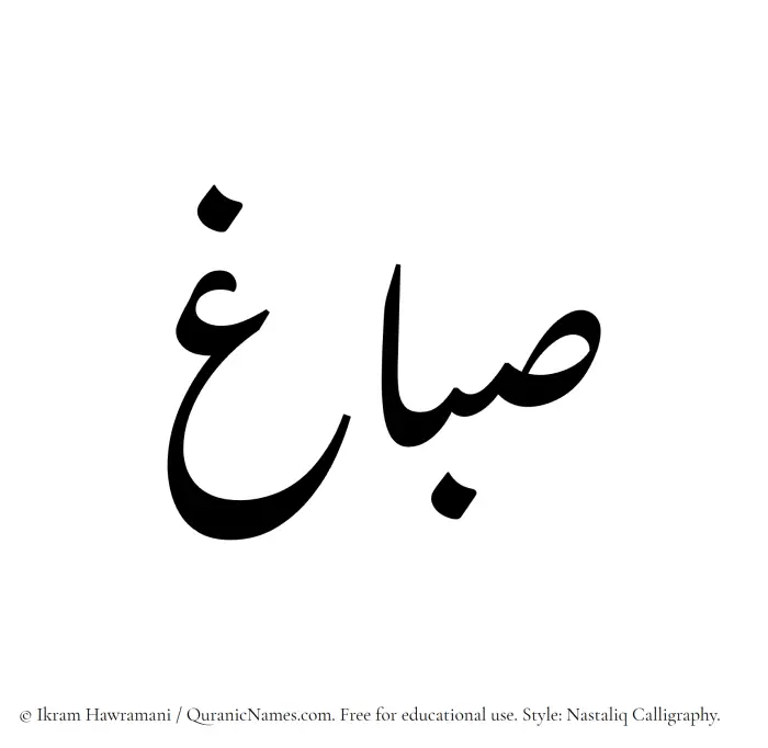 The Muslim name word Sabbagh written in Nastaliq calligraphic script