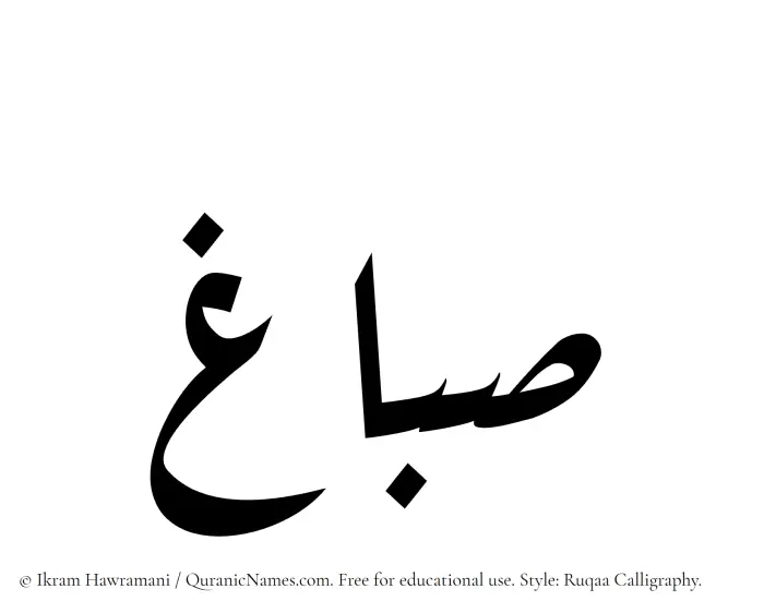The Muslim name Sabbagh written in Ruqaa calligraphic script