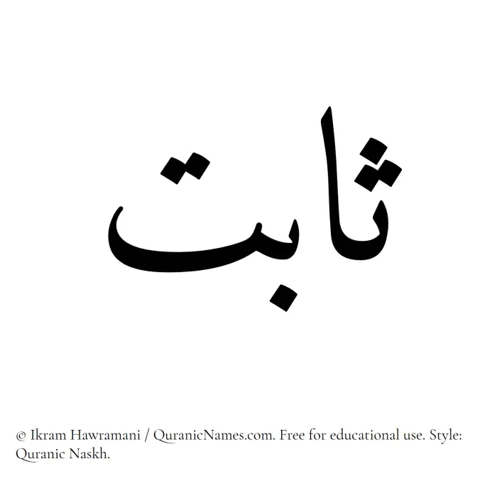 The Muslim name Sabit written in Quranic naskh script