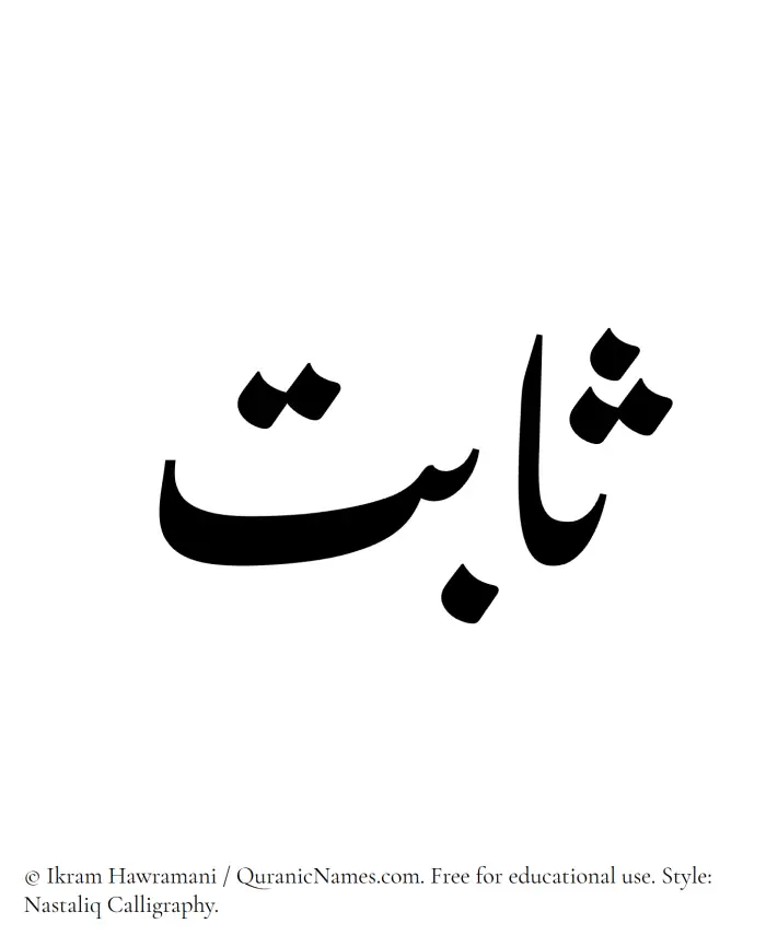 The Muslim name word Sabit written in Nastaliq calligraphic script