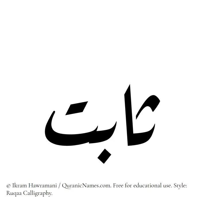 The Muslim name Sabit written in Ruqaa calligraphic script